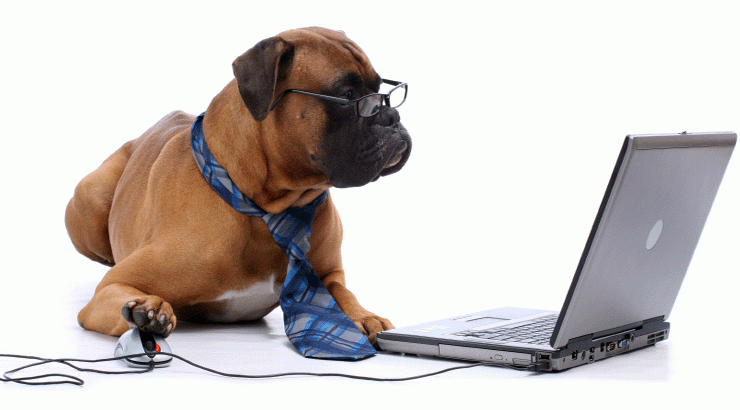 pet health tech solution